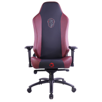 GAMEON x DC Licensed Gaming Chair With Adjustable 4D Armrest & Metal Base - House of The Dragons
